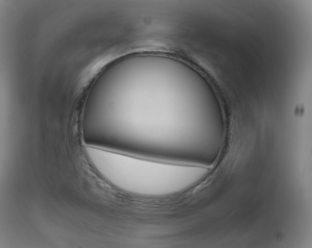 X0000112511455200908171036