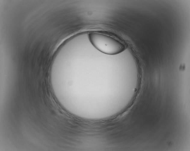 X0000112511457200908171036