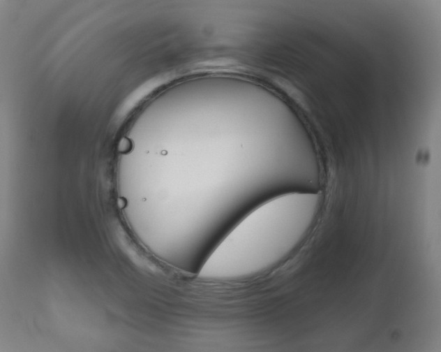 X0000112511458200908171036
