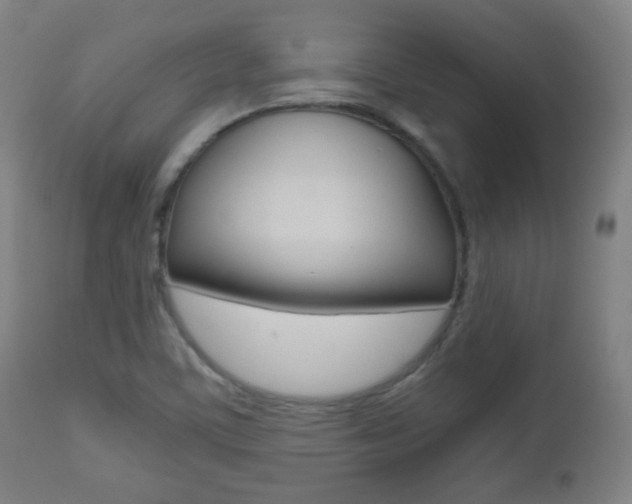 X0000112511459200908171036