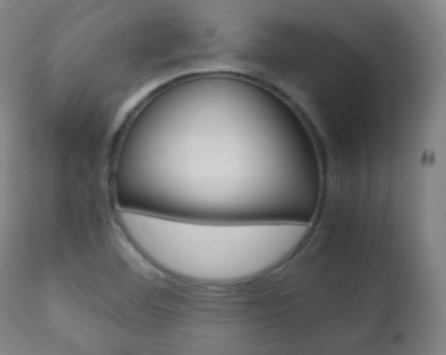 X0000112511460200908171036
