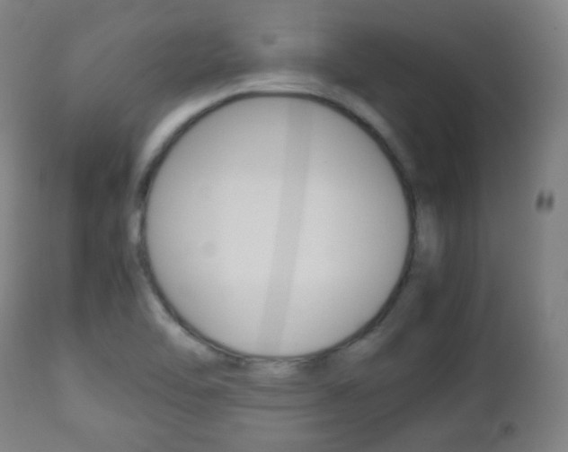 X0000112511462200908171036