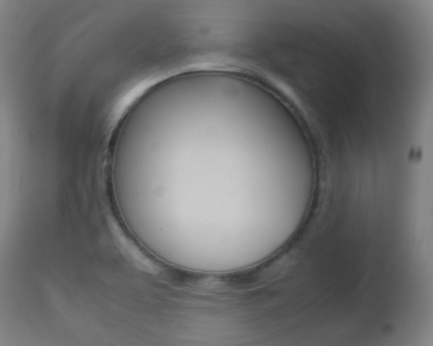 X0000112511463200908171036