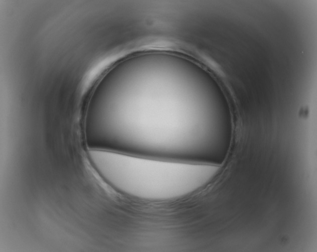 X0000112511464200908171036