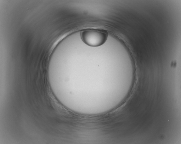 X0000112511465200908171036