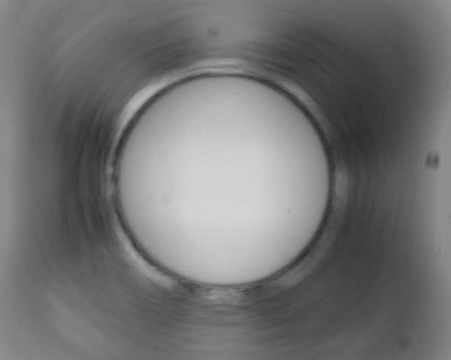 X0000112511466200908171036
