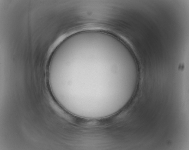 X0000112511467200908171036