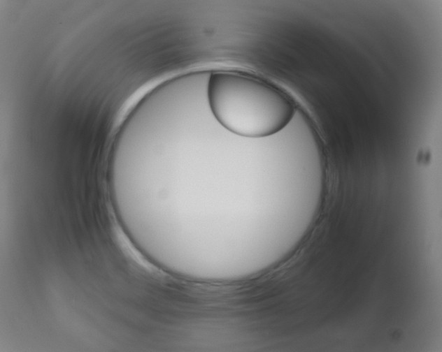 X0000112511468200908171036