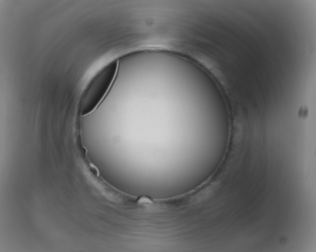 X0000112511469200908171036