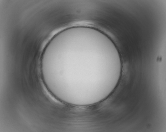 X0000112511470200908171036