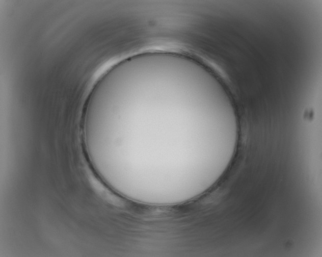 X0000112511471200908171036