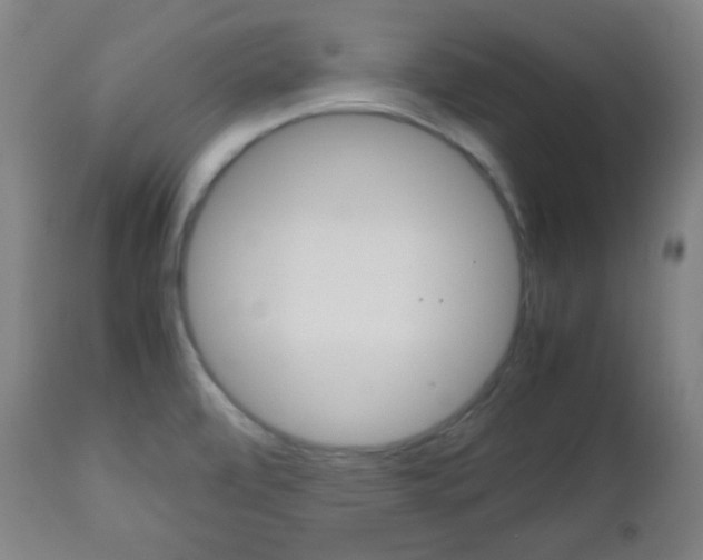 X0000112511472200908171036