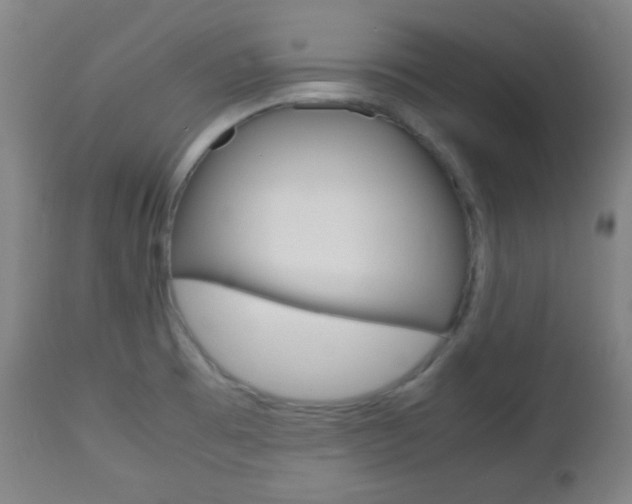 X0000112511473200908171036
