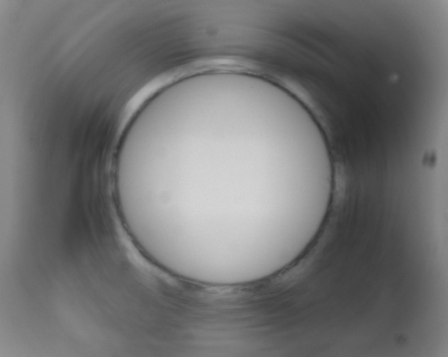 X0000112511474200908171036