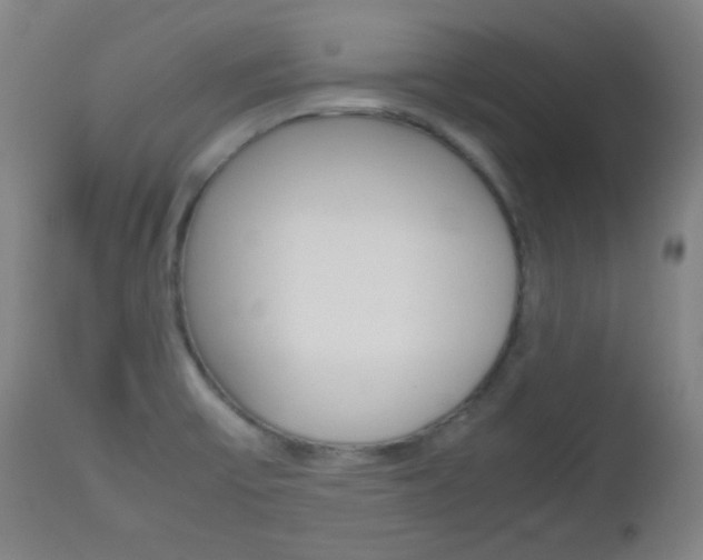 X0000112511475200908171036