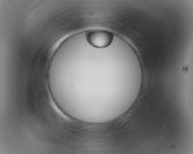X0000112511476200908171036