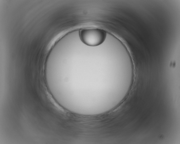 X0000112511477200908171036