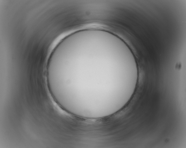 X0000112511478200908171036