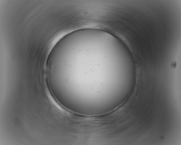 X0000112511479200908171036