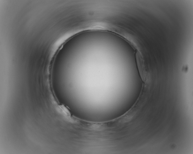 X0000112511480200908171036