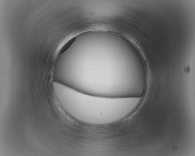 X0000112511481200908171036