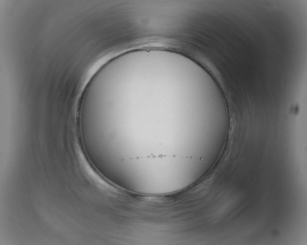 X0000112511483200908171036