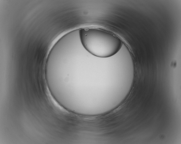 X0000112511484200908171036