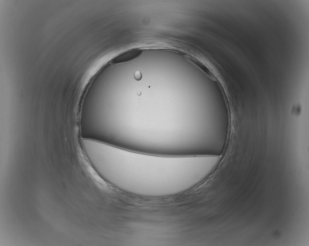 X0000112511485200908171036