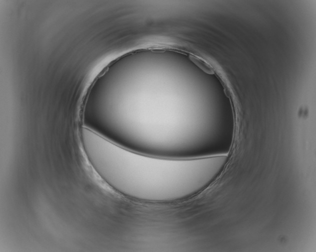 X0000112511488200908171036