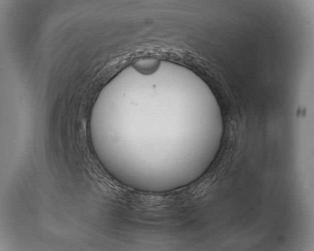 X0000112511489200908171035