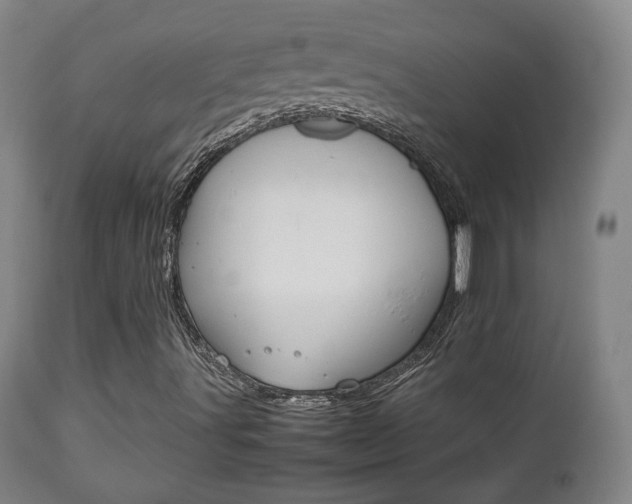 X0000112511491200908171035