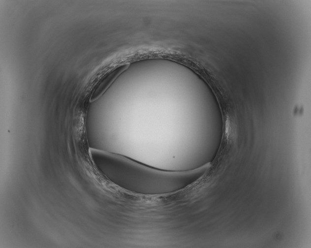 X0000112511492200908171035