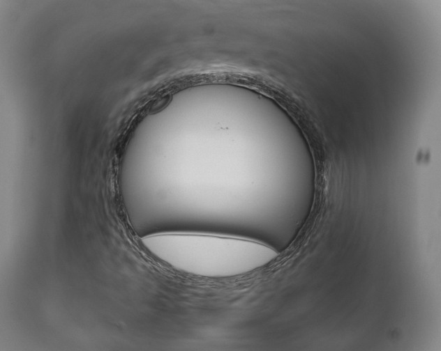X0000112511493200908171035