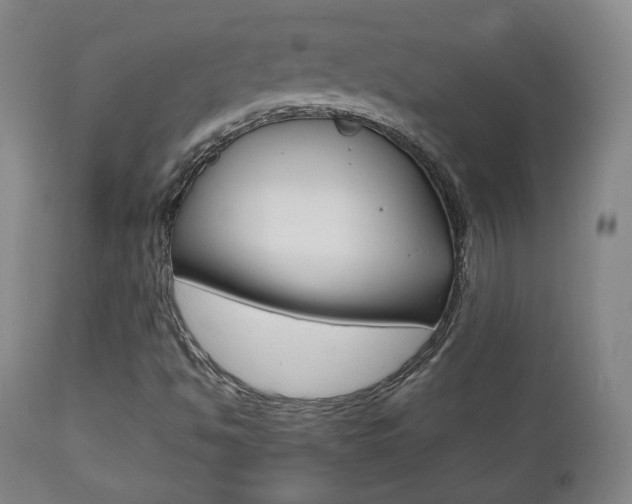 X0000112511494200908171035