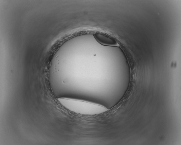 X0000112511495200908171035