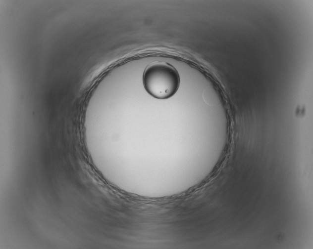 X0000112511496200908171035