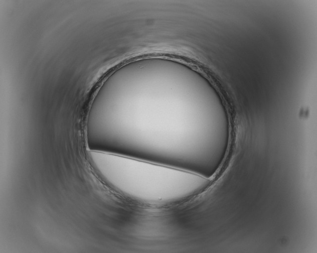 X0000112511497200908171035