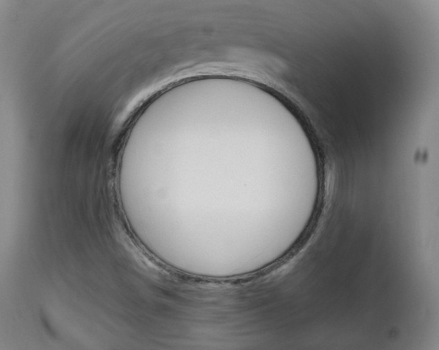 X0000112511498200908171035