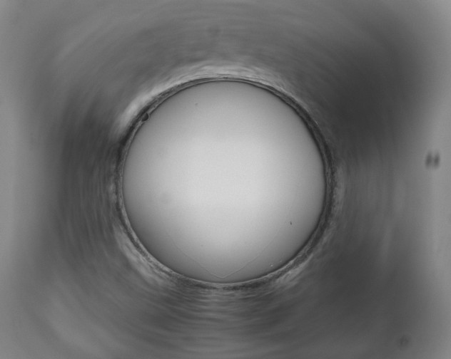 X0000112511499200908171035