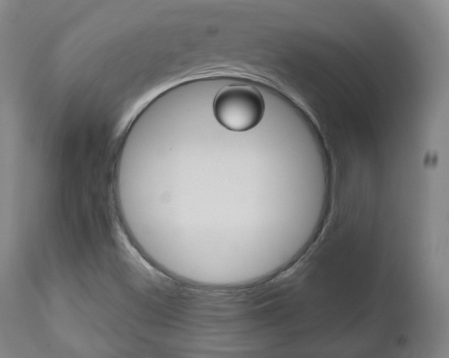 X0000112511500200908171035