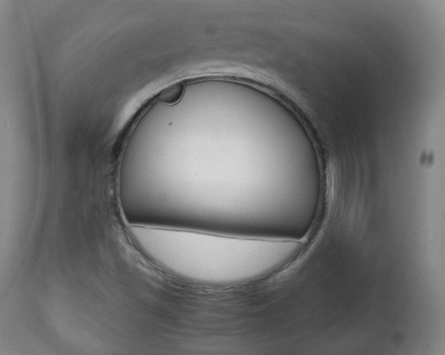 X0000112511501200908171035