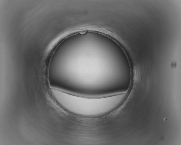 X0000112511502200908171035