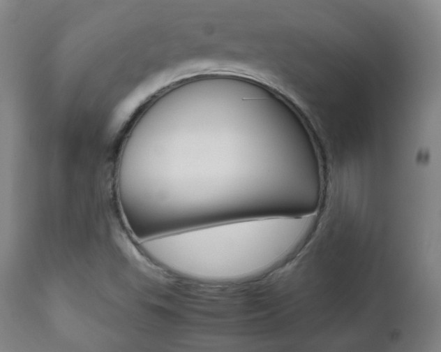 X0000112511503200908171035