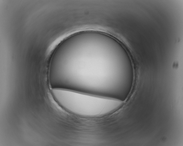 X0000112511504200908171035
