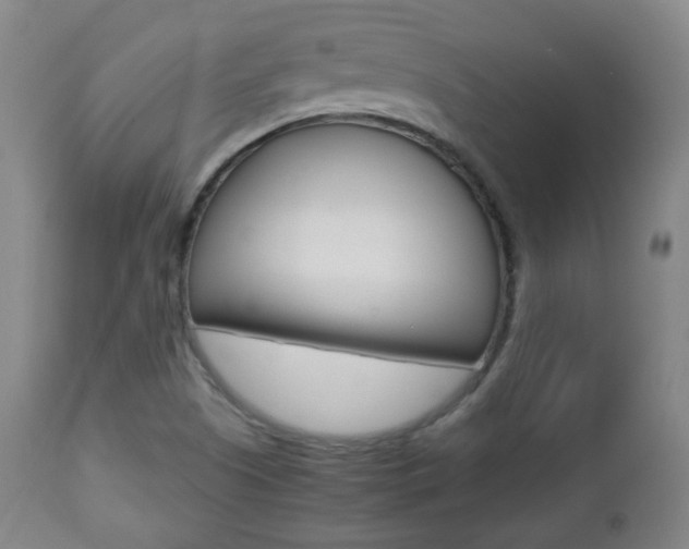 X0000112511505200908171035
