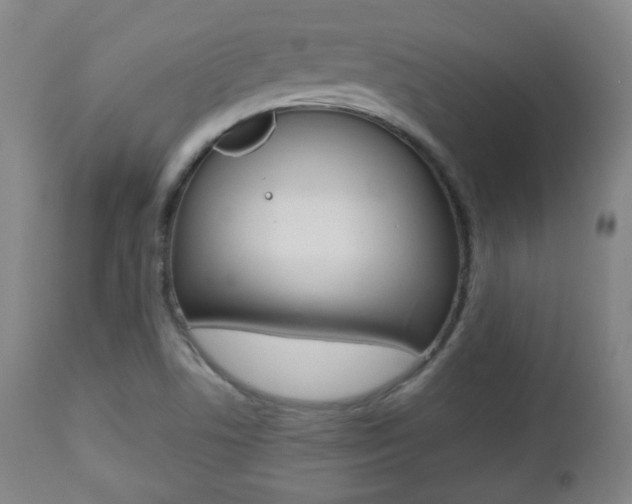X0000112511506200908171035