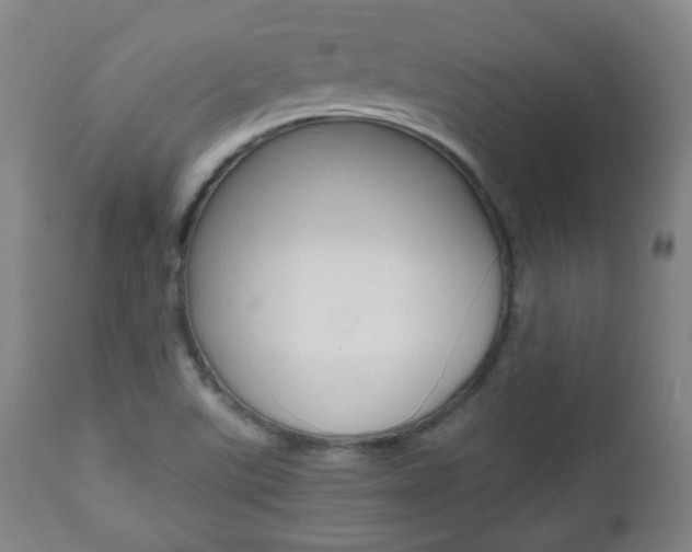 X0000112511507200908171035