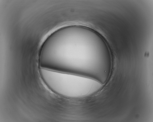 X0000112511508200908171035