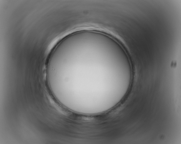 X0000112511509200908171035