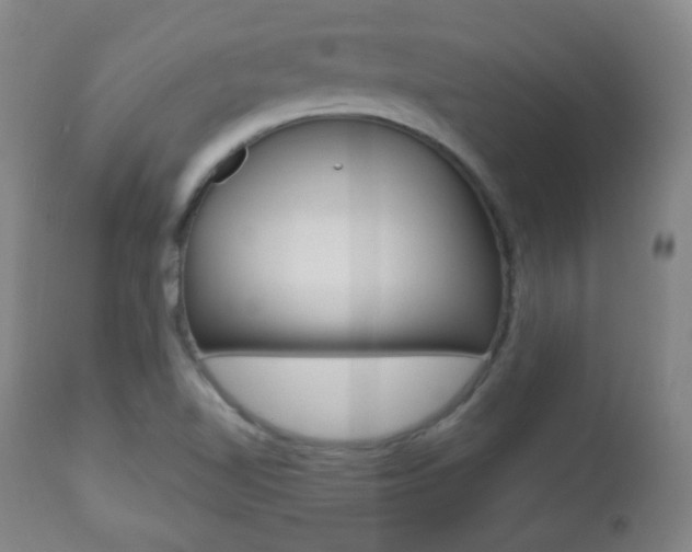X0000112511510200908171035